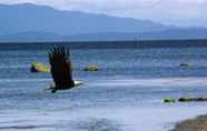 Nearby View and Attractions 3 Qualicum Breeze Beach Resort