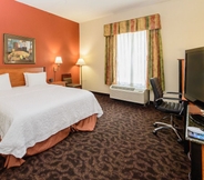 Bedroom 4 Hampton Inn Houston-Pearland