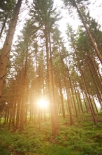 Bên ngoài 4 Naturkost-Hotel Harz