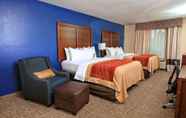 Bedroom 7 Comfort Inn & Suites Statesboro - University Area