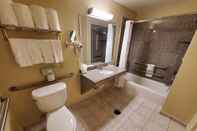 Toilet Kamar Comfort Suites near Texas Medical Center - NRG Stadium