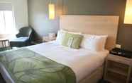 ห้องนอน 5 Saint Kilda Beach Hotel (formerly Rydges St Kilda)