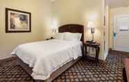 Bedroom 5 Hampton Inn by Hilton Springfield