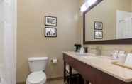 In-room Bathroom 6 Comfort Inn & Suites Fayetteville - University Area