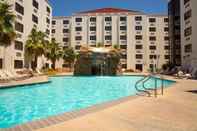 Swimming Pool Colorado Belle Hotel & Casino Resort