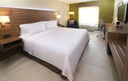 Bedroom 4 Holiday Inn Express Guadalajara Aeropuerto, an IHG Hotel