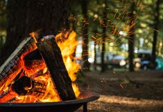 Others 3 Paradise Rv Campground