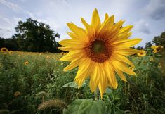 其他 3 The Stone House Bed And Breakfast