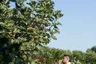 Fitness Center Masseria Don Luigi - Luxury Farmhouse