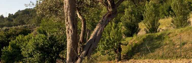 Luar Bangunan BioAgriturismo Il Falco