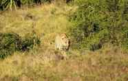 ภายนอกอาคาร 4 Quatermain's 1920's Safari Camp - Amakhala Game Reserve