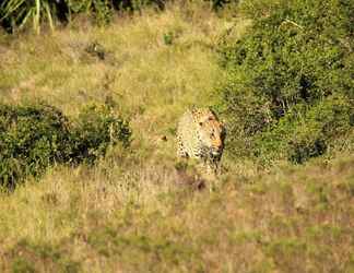 ภายนอกอาคาร 2 Quatermain's 1920's Safari Camp - Amakhala Game Reserve