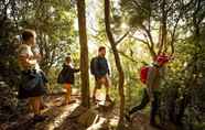 Fitness Center 7 Mt Warning Rainforest Park