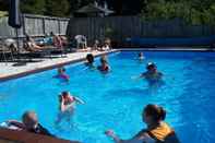 Swimming Pool Coromandel Cottages