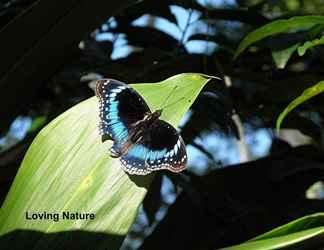 ภายนอกอาคาร 2 Hibiscus Lodge Bed & Breakfast