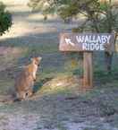 EXTERIOR_BUILDING Wallaby Ridge Retreat