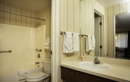 Phòng tắm bên trong 7 Carson Valley Motor Lodge