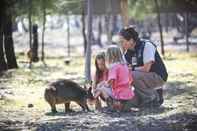 ห้องออกกำลังกาย Billabong Camp at Taronga Western Plains