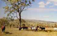 Pusat Kebugaran 4 Boonah Valley Motel