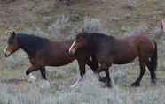 Bên ngoài 2 Wildhorse Mountain Guest Ranch