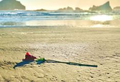 Lain-lain 5 Sunset Oceanfront Lodging