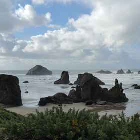 Sunset Oceanfront Lodging1 , 飯店西海岸野生动物园