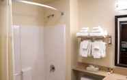 In-room Bathroom 5 My Place Hotel - South Omaha/La Vista, NE
