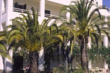 수영장 Bella Colina I Vintage Hotel est. 1953