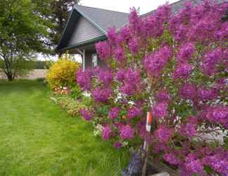 Exterior 2 Duck Pond Bed & Breakfast Cottage