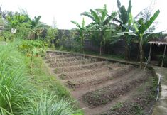 Lain-lain 3 Villa Padi Yogyakarta