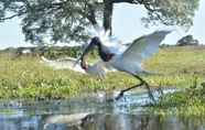 ห้องออกกำลังกาย 2 Pantanal Mato Grosso Hotel