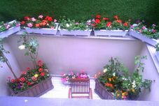 Common Space Calanthe Residence