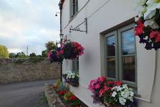 外觀 Babbling Brook