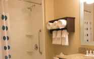 In-room Bathroom 4 TownePlace Suites by Marriott Lincoln North