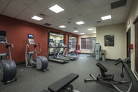 Fitness Center Hilton Garden Inn Bolingbrook I-55