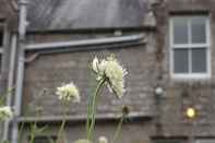 Exterior Whitchester Christian Guest House