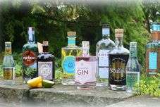 Bar, Kafe dan Lounge Ferrari S Country House Hotel