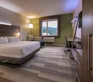 Kamar Tidur 7 Holiday Inn Express & Suites Victoria - Colwood, an IHG Hotel