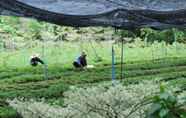 Trung tâm thể thao 7 Racha Herb Gardens