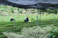 Pusat Kebugaran Racha Herb Gardens