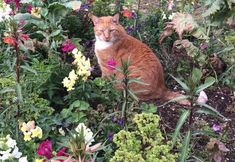 Common Space 7 Calendar Cottage Bed & Breakfast