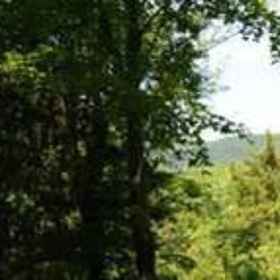 Saint Huberts Lodge1 , 飯店Walkway Over the Hudson State Historic Park