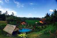 Swimming Pool Bali Lush