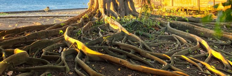 Lain-lain Mapia Resort