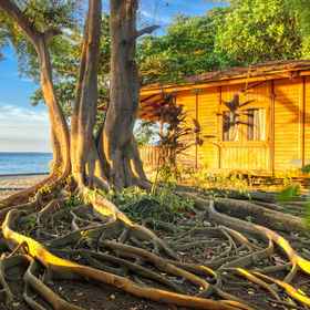 Mapia Resort1Mapia Resort,Mapanget飯店