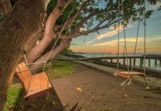 Lain-lain 6 Mapia Resort