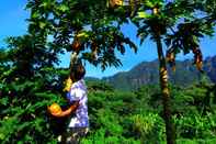 Fitness Center Yakushima Cottage Morino Fairy