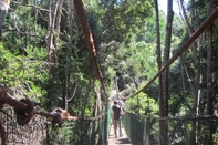 Fitness Center Treehouse Cottage