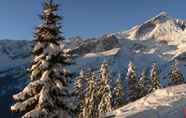 Atraksi di Area Sekitar 2 Ferienwohnungen Zugspitze