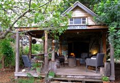 其他 5 The Laurels of Chinchilla